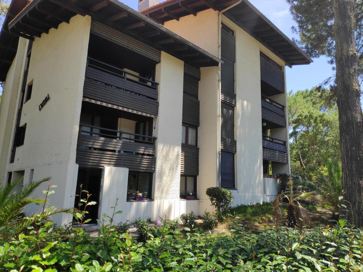 Appt Seignosse Le Penon - Plages Commerces A Pied Exterior foto